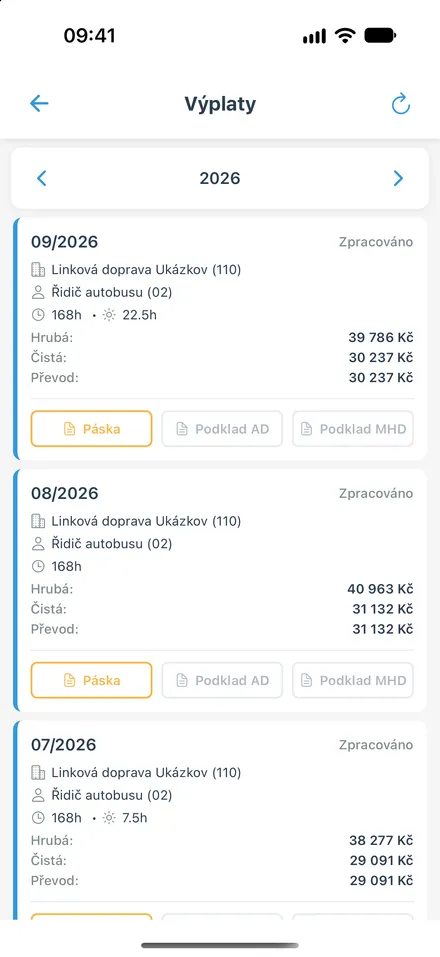Přehled výplat za zvolený rok